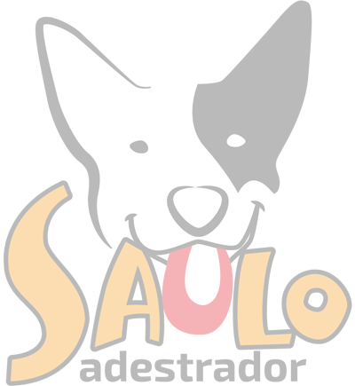 Logo Icon
